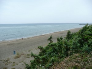 bufalara-sabaudia-la-spiaggia-con-le-tipiche-dune
