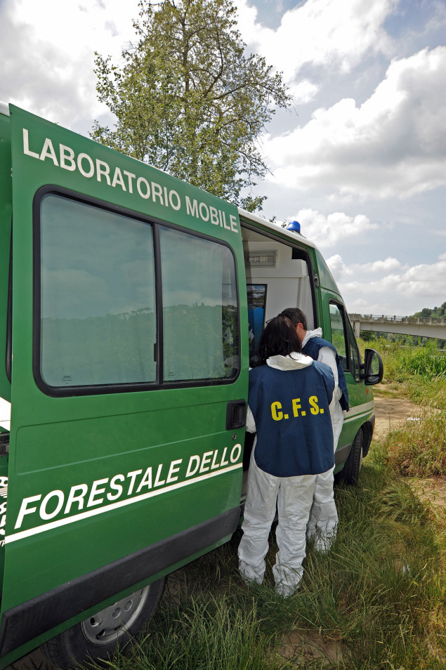 Gli agenti della Forestale al lavoro (Foto: Luigi Di Battista)