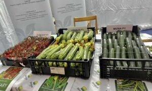 fiera agricola montenero