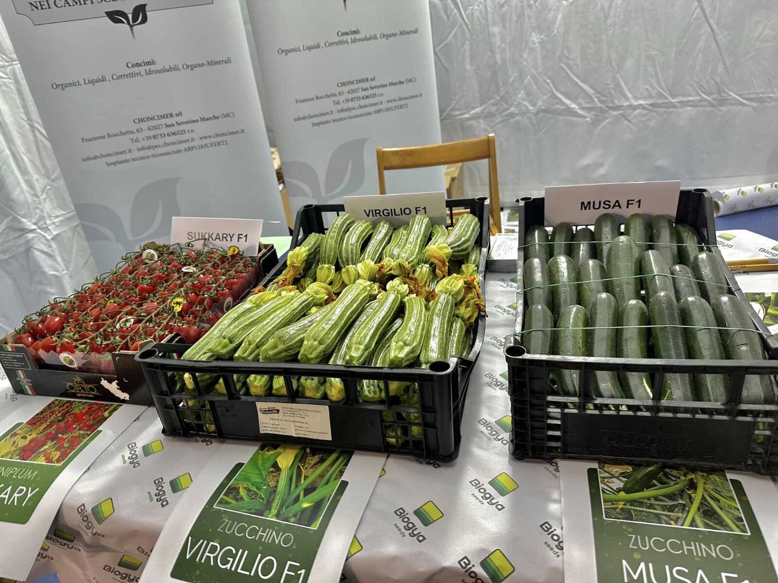 fiera agricola montenero