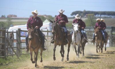 mostra agricola campoverde