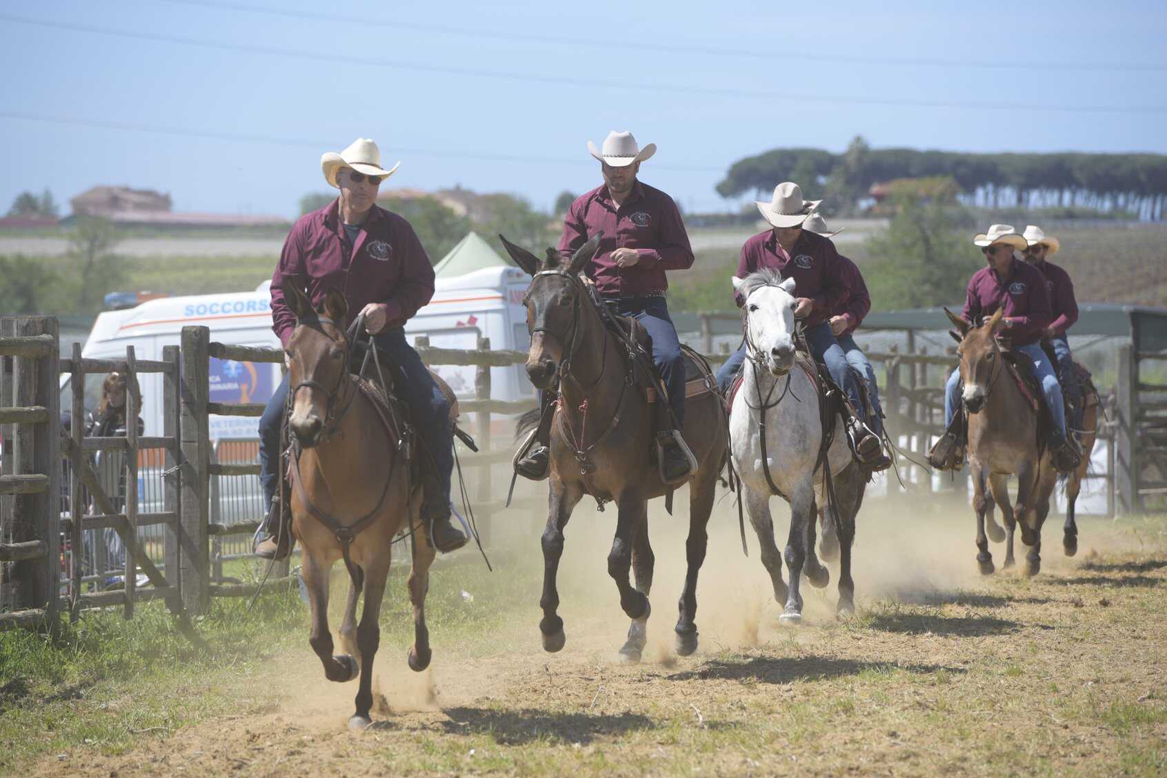 mostra agricola campoverde